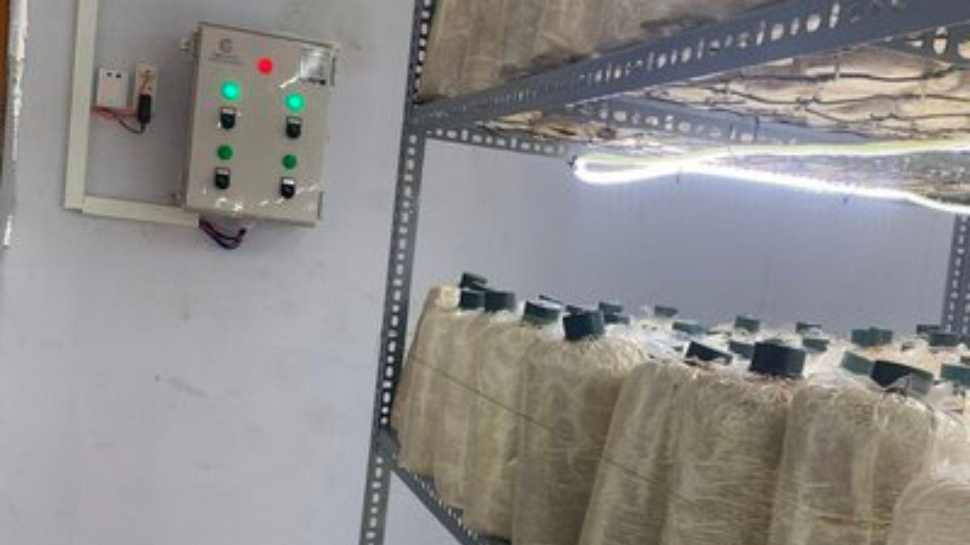 Ứng dụng công nghệ trong trồng nấm mang lại hiệu quả cao. Ảnh ST Khởi nghiệp dễ dàng từ nghề trồng nấm 2