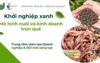 Khơi nguồn ý tưởng khởi nghiệp bền vững từ mô hình nuôi trùn quế tại MITC 2