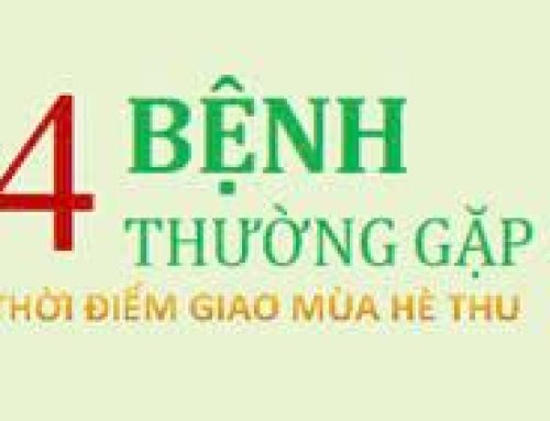 Phòng bệnh khi giao mùa hè – thu