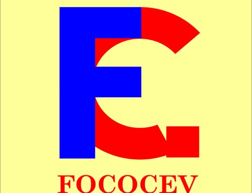 Công ty Cổ phần đầu tư  FOCOCEV Việt Nam