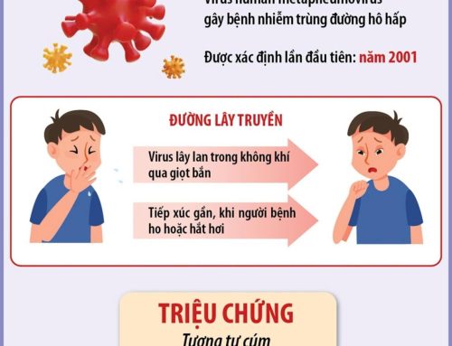 Những điều cần biết về vi rút HMPV gây viêm phổi ở người