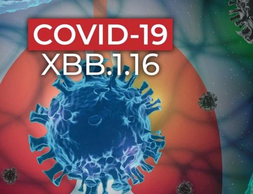 Cảnh giác với biến thể COVID- 19 mới – HSSV MITC chung tay hành động vì sức khỏe cộng đồng năm 2025!