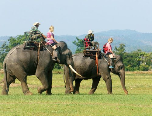 Hướng dẫn viên du lịch Đắk Lắk: Tiếng gọi từ đại ngàn vang ra biển lớn