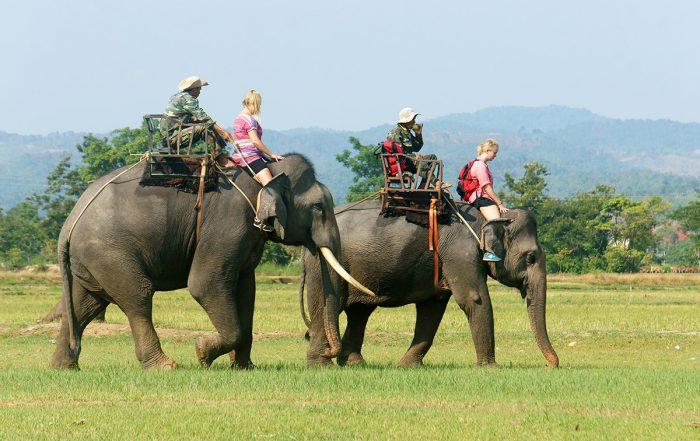 Hướng dẫn viên du lịch Đắk Lắk Tiếng gọi từ đại ngàn vang ra biển lớn 2